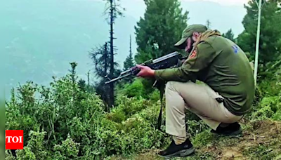 2 terrorists killed in encounter in J&K's Kupwara in anti-infiltration operation | India News - Times of India