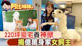 萌到讓阿比尖叫！220坪豪宅養萌獸羊駝 揭億萬身家女飼主