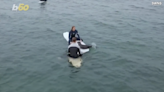 ‘Most beautiful thing:’ See baby seal climb on surfers’ boards off California coast