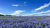 Tiny Texas Towns with the Best Bluebonnet Views This Spring