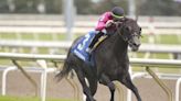 Canada's Champion 2-Year-Old My Boy Prince Back At Woodbine In Sunday Stakes