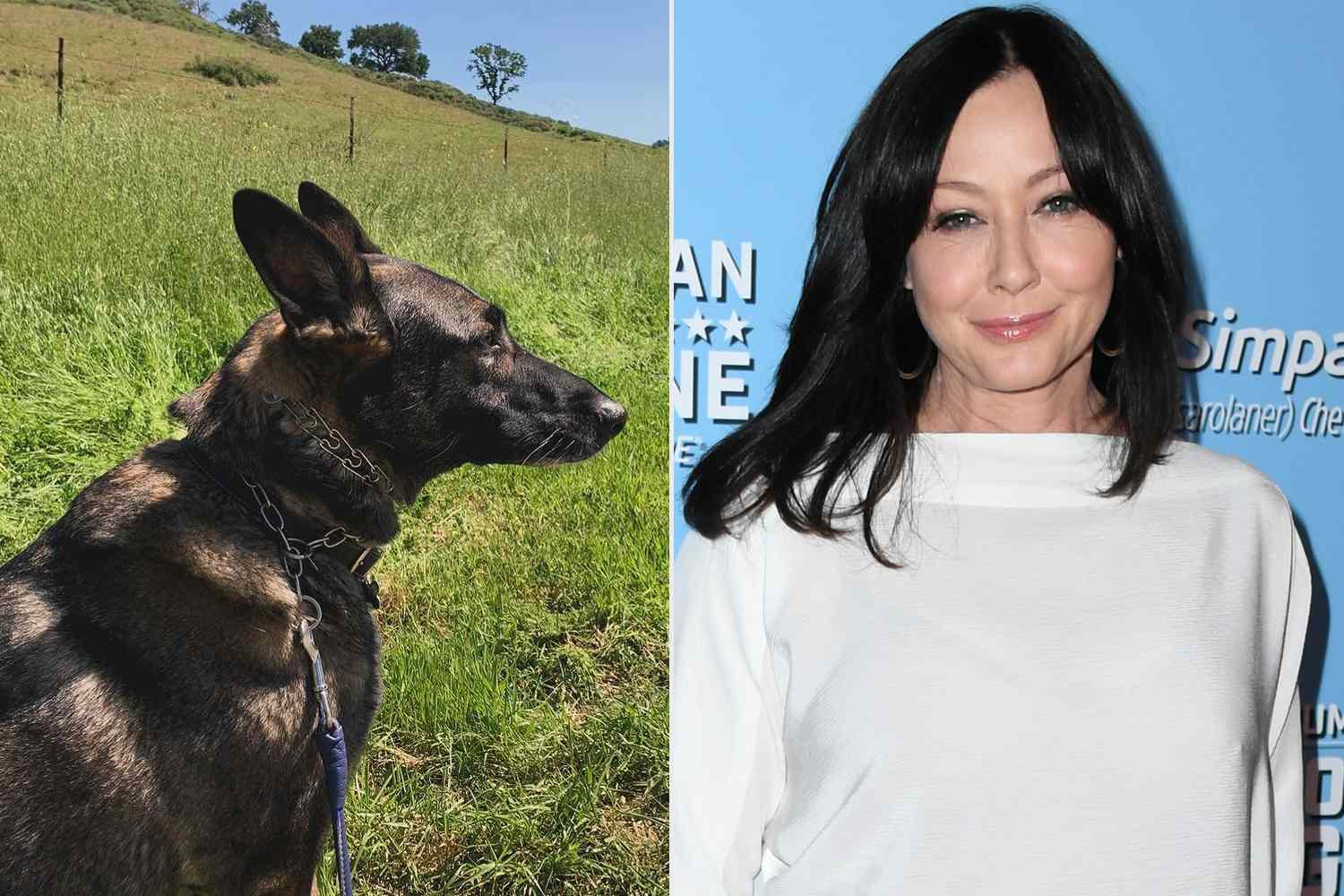 All About Shannen Doherty’s Dog Bowie, Whom She Said Sensed Her Cancer Before She Was Diagnosed