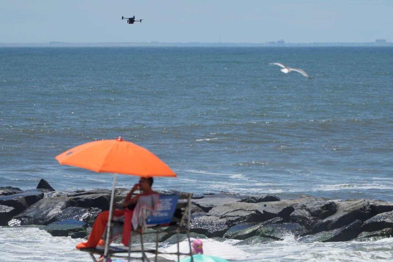 After New Yorkers spot sharks at beach, Gov. Kathy Hochul sends safety reminder