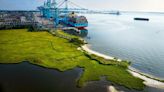 Port of Virginia on track to have deepest channels on East Coast