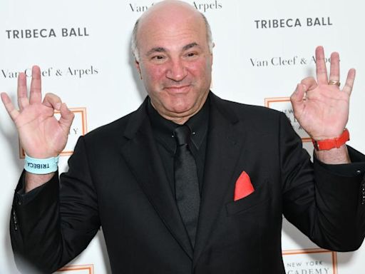 The 'Shark Tank' star Kevin O'Leary says to get married sooner, have more kids — and forget about the costs