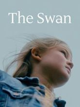 The Swan