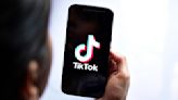 TikTok's iPhone search widget saves a ton of time — here's how to find it