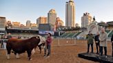 "Místico", el primer toro de Palermo