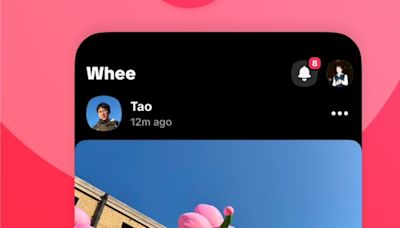 TikTok lança Whee, plataforma de fotos ‘cópia’ do Instagram; veja app