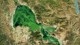 Green Menace: Toxic Algae and Environmental Neglect at California’s Clear Lake