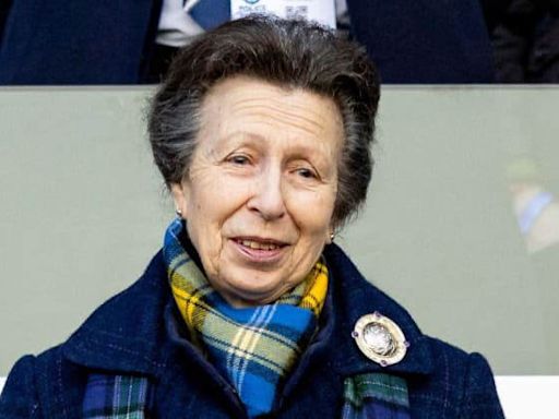 Princess Anne's Health Crisis: Tireless Royal's Engagements Canceled Again Due to Injury From Mysterious Horse 'Incident'