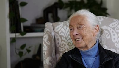 Jane Goodall a los 90: Sobre la fama, la esperanza y la empatía