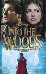 Into the Woods (film)