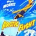 Arctic Flight