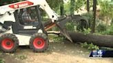 Couple in Upstate wakes up after a tree falls in their bedroom