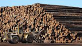 In Missouri’s logging and lumber industry, we rely on treating the environment right | Opinion