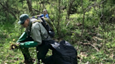 Help pull up garlic mustard and enjoy wildflowers this weekend