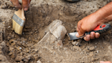 Mysterious skull points to a possible new branch on human family tree