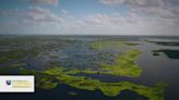 Descubre aquí de qué se trata la nueva iniciativa de la Fundación Everglades