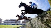 Aintree ‘shames British racing’ with horse death says animal rights organisation