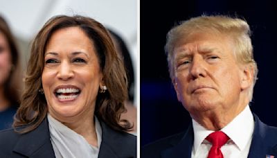 If You're A Republican Voting For Kamala Harris Over Donald Trump, We Want To Know Why