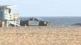 'Like watching a predator go after prey.' Suspect arrested in Santa Monica beach attacks