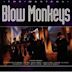 Blow Monkeys the Masters