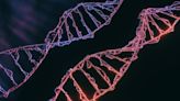 ¿Cómo de diferentes son los genomas de dos personas distintas?
