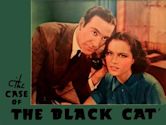 The Case of the Black Cat