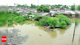 Vishwamitri river crosses danger mark; 4,200 shifted | Vadodara News - Times of India