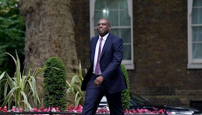 UK to target closer partnership with European Union, says David Lammy