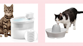 The Best Water Fountains for Cats to Keep Them Happy and Hydrated