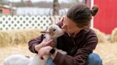 Goat yoga, hikes and hijinks: Where to have fun with goats in Hunterdon County