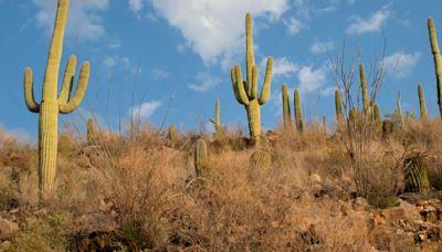 National Parks Service asks judge to dismiss suit over cashless policy for park entrance