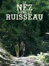 Le nez dans le ruisseau