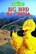 Big Bird in China