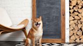 Can Shiba Inu Reach $0.10?