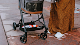 Yes, Your Fur Baby Deserves One of These Pet Strollers