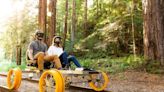 Railbikes: Take a Pedal-Powered Tour Through California’s Ancient Redwood Forests