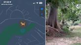 Worried Dog Mom Tracks Her Pup's GPS Location And Discovers His Double Life