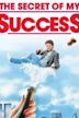 The Secret of My Success (1987 film)