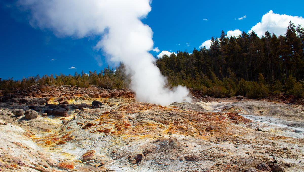 Man Jailed For Getting Within Feet Of World's Most Dangerous Geyser In Yellowstone