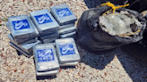 Over $884,000 in Cocaine Found by Scuba Divers Off Key Largo Coast | 1290 WJNO | Florida News