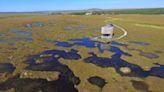 Unesco status for Flow Country in Caithness and Sutherland shows importance of managing land responsibly