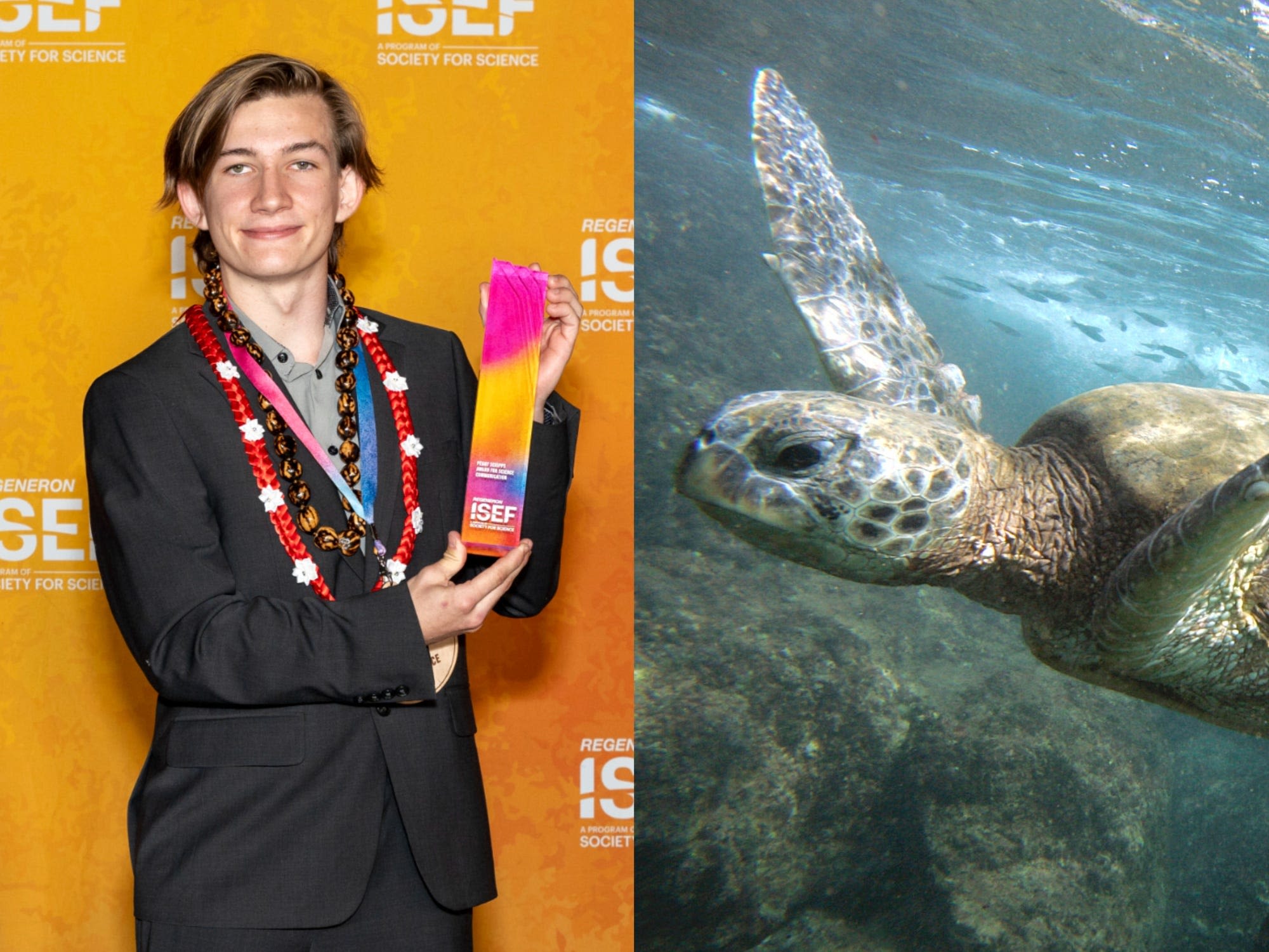 This high schooler won $10,000 because he saw a mysterious outbreak killing sea turtles in his Hawaii hometown and decided to do something about it