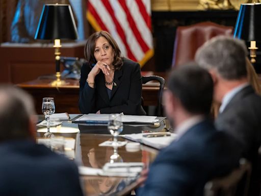 If Kamala Harris runs for president, it’s apparently time to talk ‘electability’ again