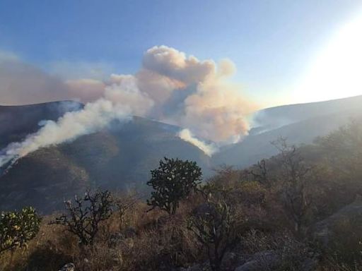 Se reactiva incendio en Tepelmeme: reportan fuego sin control en zona de reserva ecológica en Oaxaca