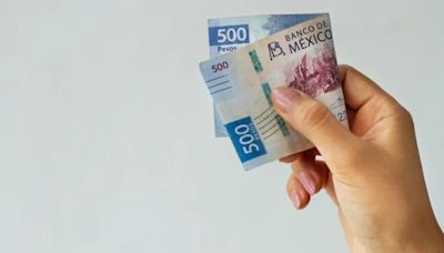 ¿Qué trabajadores no se incluyen en el subsidio al salario?