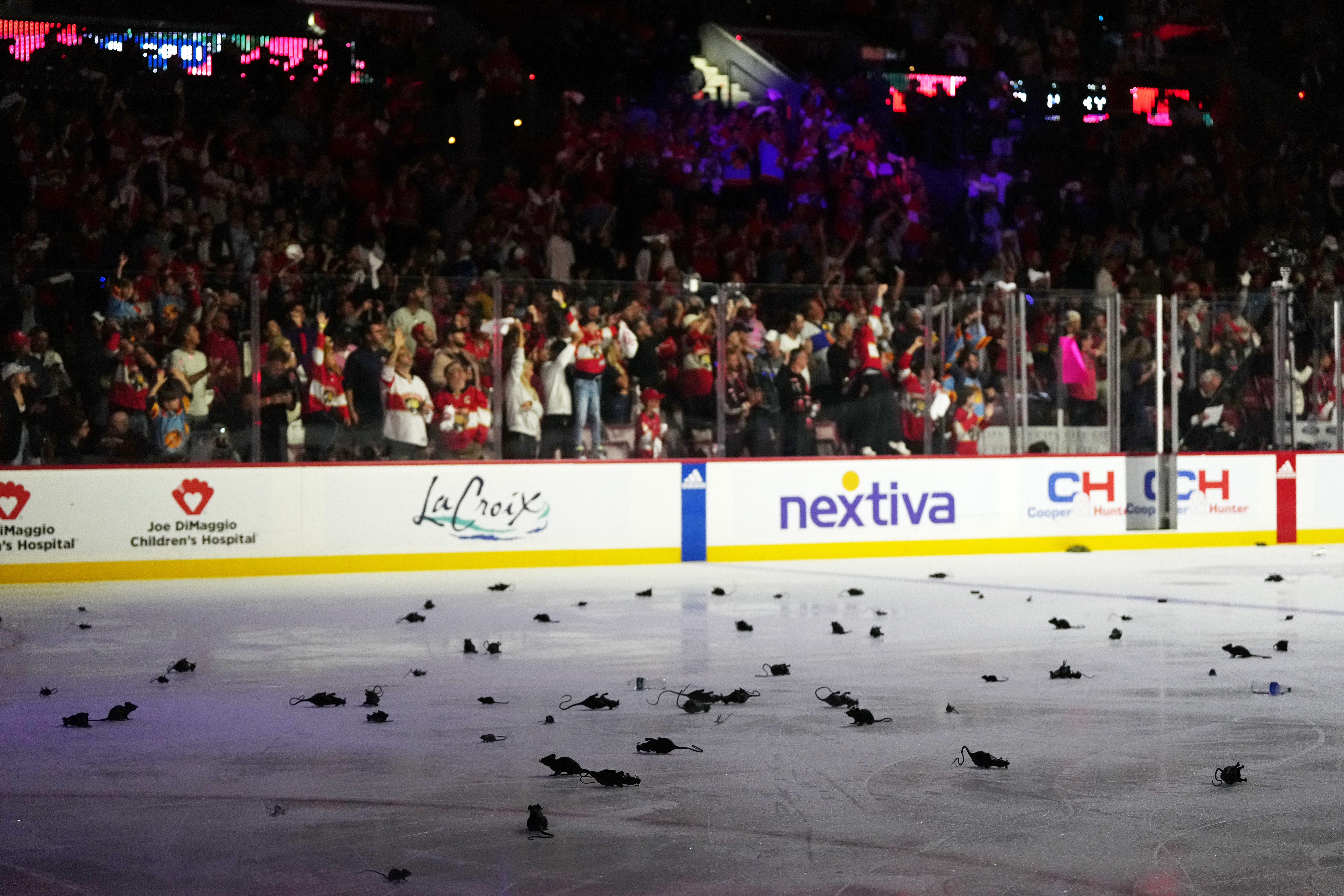 What's with Florida Panthers and rats? Ten bits of trivia explain wacky Stanley Cup tradition