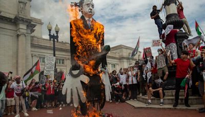 Opinion: Planning to protest at the DNC in August? Here's why you shouldn't